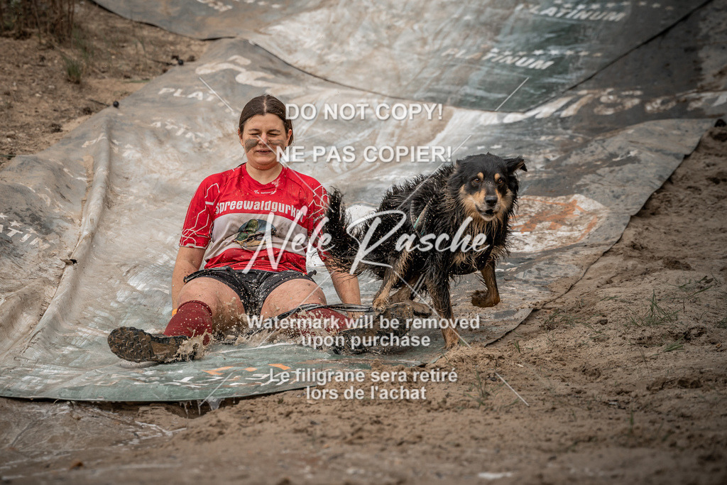 nelerasche_sa1200-1230_150 | nelerasche