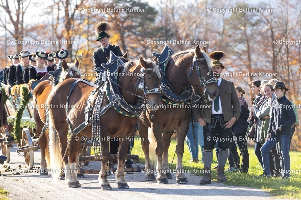 LBT24-1298 | foto-bettina-krinner - Realisiert mit Pictrs.com