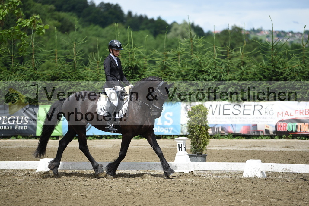 DSC_0768 | equestrian-live-com