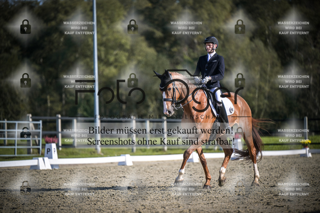 DOS_3437 | Entdecke hochwertige Reitturnierfotos von Foto Oger. Professionell, emotional und authentisch – jetzt Lieblingsmomente im Shop bestellen.Deutschlandweite Turnierfotografie. - Realisiert mit Pictrs.com