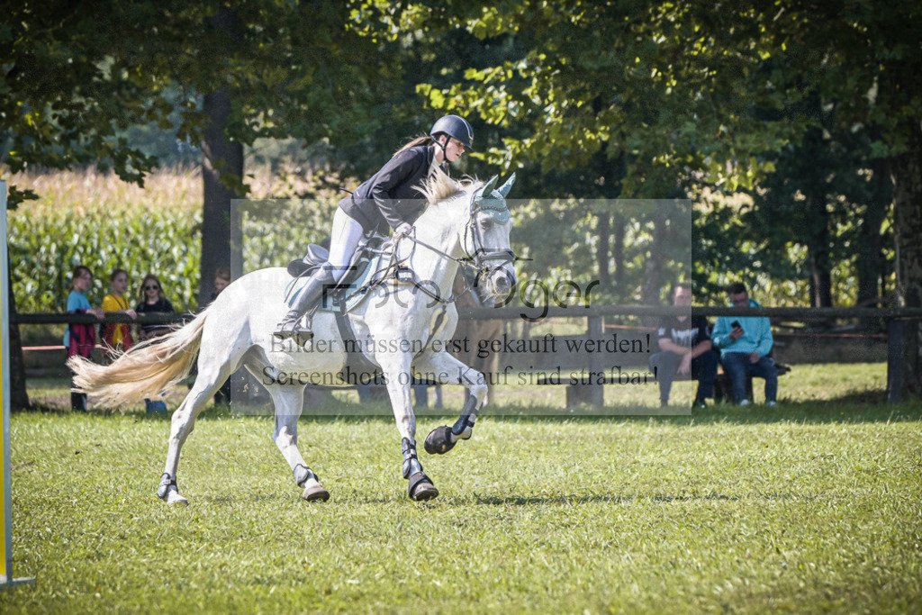 DOS_0724 | Entdecke hochwertige Reitturnierfotos von Foto Oger. Professionell, emotional und authentisch – jetzt Lieblingsmomente im Shop bestellen.Deutschlandweite Turnierfotografie. - Realisiert mit Pictrs.com