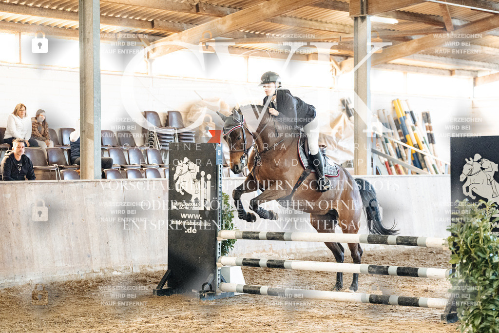 CK904379 | Turnierfotografie Pferdefotografie Trier Rheinland-Pfalz Pferdesport Reitsport Tierfotografie Sportfotografie Pferdevideo Pferdevideografie Equestrianvideography equestrianphotography  - Realisiert mit Pictrs.com