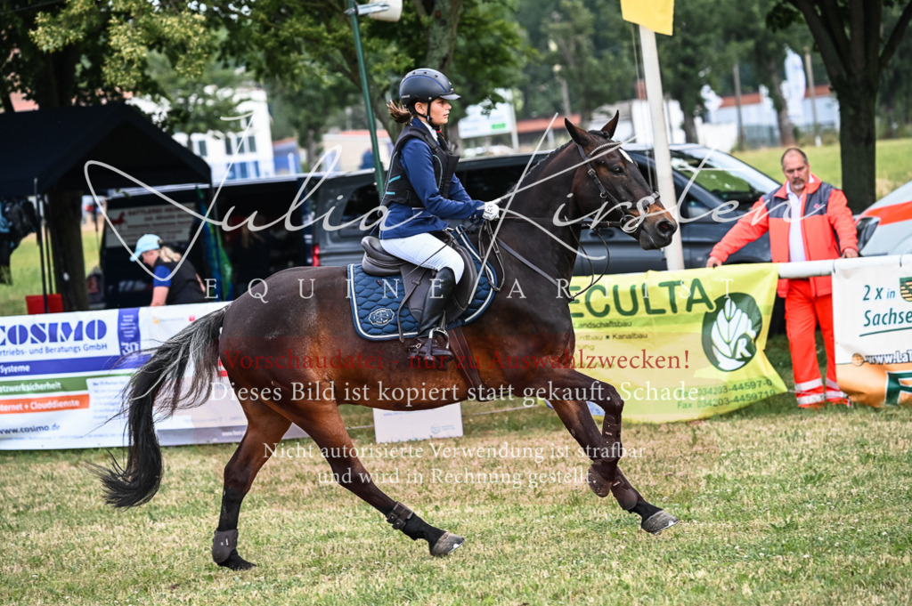 DSC_8219 | Pferde- und Turnierfotografie in Westsachsen. Pferdeportraits, Auftragszeichnungen und intuitive Kunst.