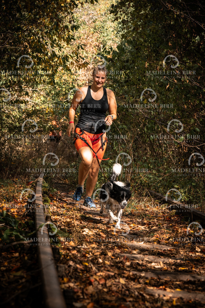 madeleinebirr.fotografie.2026.cc.hunsrueck.12-13Uhr.92 | hundefotografie-birr