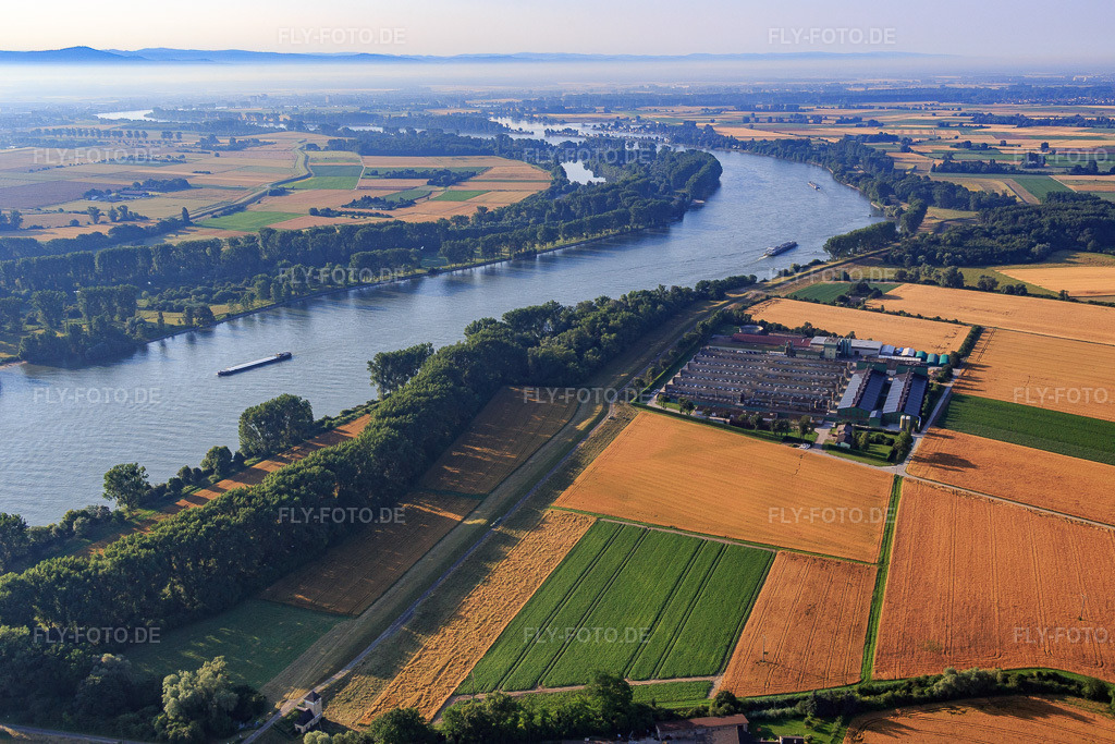 Luftbild: hego Düngemittelwerk GmbH am Rheindamm in Gimbsheim im Bundesland Rheinland-Pfalz in Deutschland. Foto: IMG_091357.jpg vom 07.07.2016 durch Werner Riehm/FLY-FOTO.deHEGO-DUENGER.DE