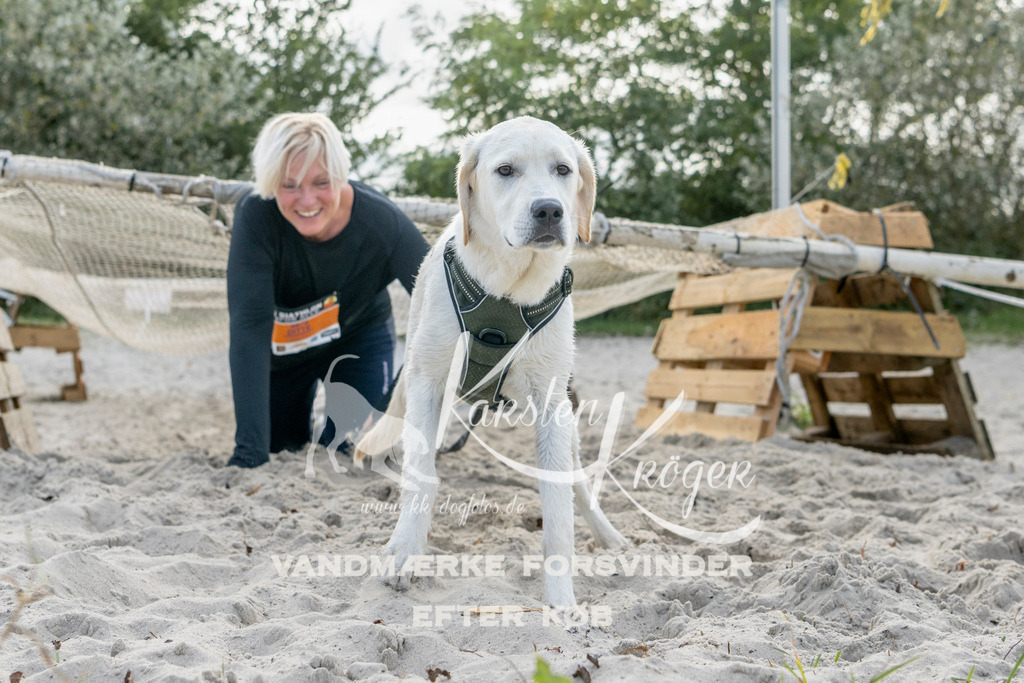 1215_ZZ90709 | kk-dogfotos