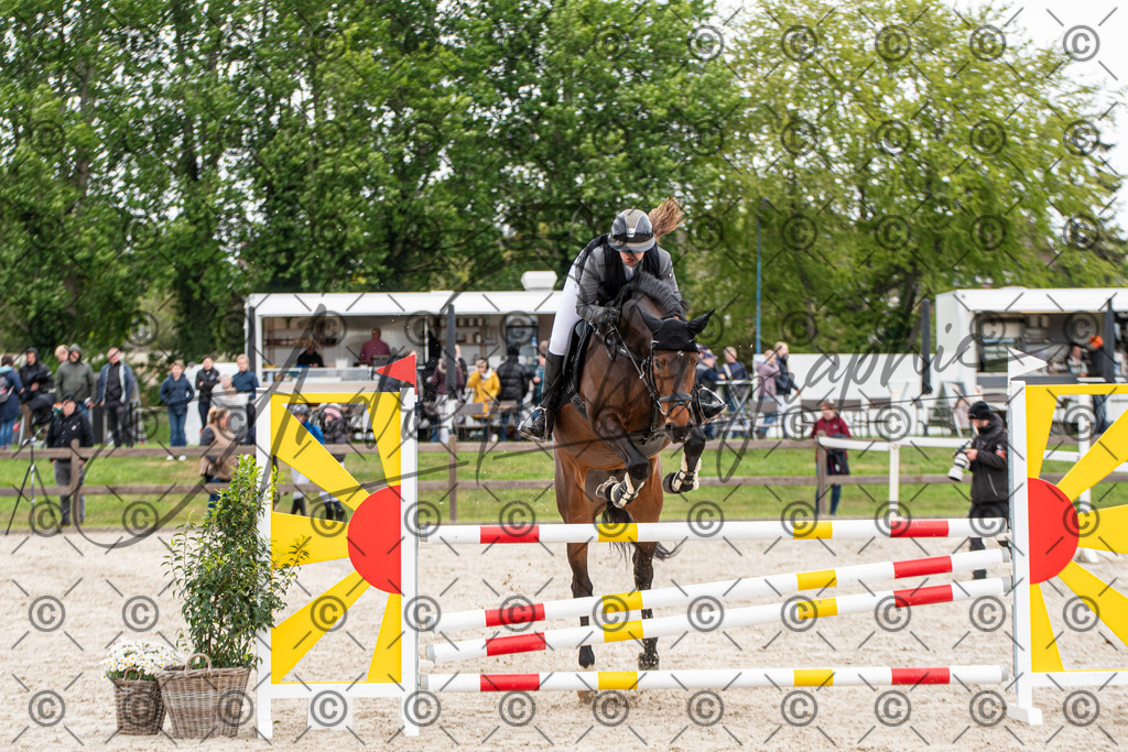 KPT_8690 | andre_photographic