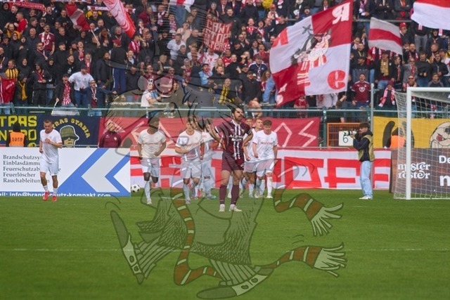 BFC Dynamo vs. FSV Zwickau 056 | mythos-online-redaktion