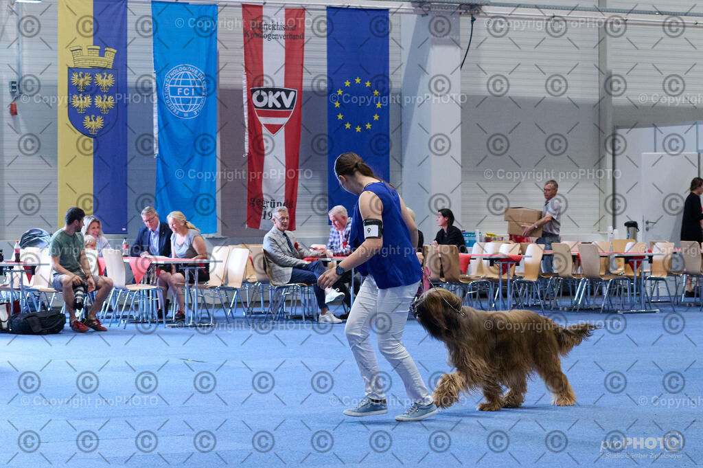 202406_ÖKV-IHA-Tulln24_DSC_4750 | proPHOTO - Realisiert mit Pictrs.com