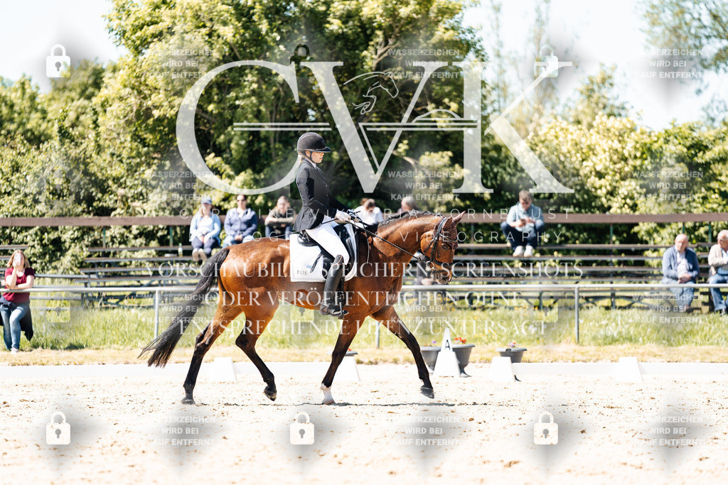 CK905822 | Turnierfotografie Pferdefotografie Trier Rheinland-Pfalz Pferdesport Reitsport Tierfotografie Sportfotografie Pferdevideo Pferdevideografie Equestrianvideography equestrianphotography  - Realisiert mit Pictrs.com