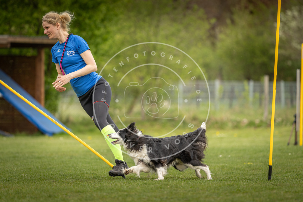 Pfotenfotografie_DV3A7312 | Hundefotografie, Tierfotograf, Pfotenfotografie, Fotoshooting Hund, Hunde Portrait, Hundesport, Hundeportraits, Heideshooting, Hunde, Sportfotograf, Hundefotograf, Turnierhundsport, THS,  - Realisiert mit Pictrs.com