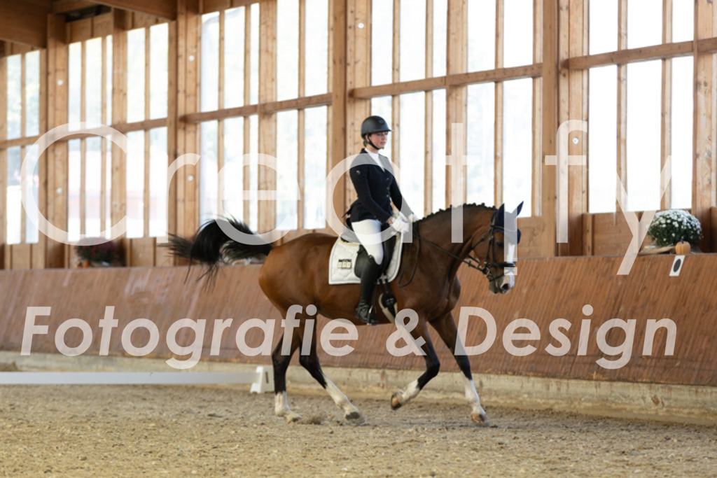 IMG_5019 | Creatify Fotografie