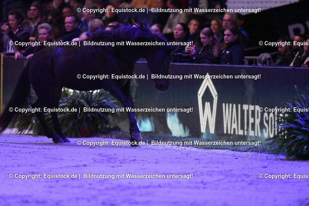 20231115_Show-Jean-Francois-Pignon_0171_TOMsPiC | Foto: Thomas Hartig