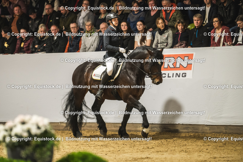 20240302_Hengstvorstellung_Marbach_TOMsPiC_0307 | equistock