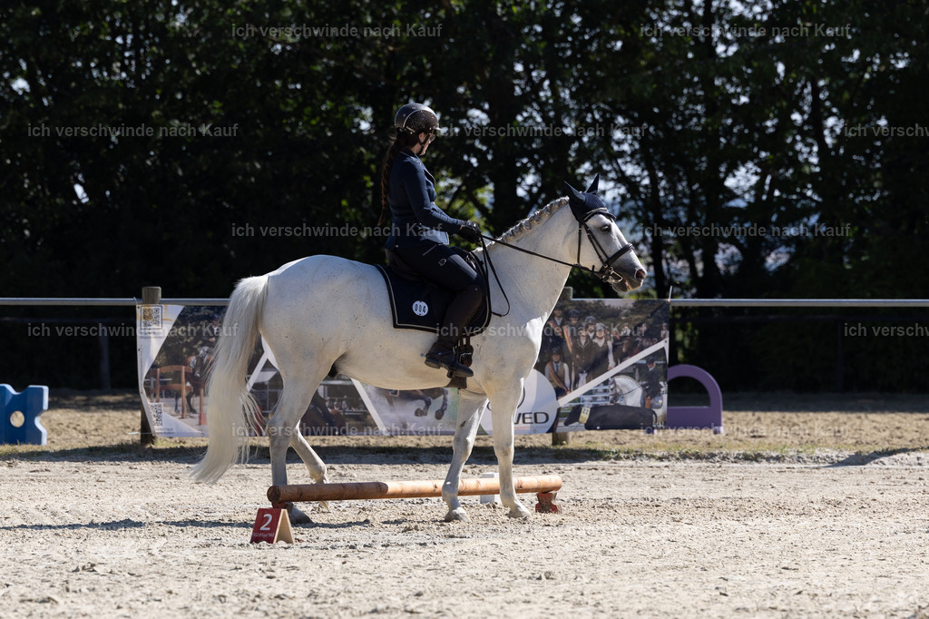 WA_Trail_4_KerstinBernhardt-6 | working equitationturnier fotograf videograf stoibphotography marixx film working equitation deutschland reitsport turnierfotografie eventfotografie equestrian events