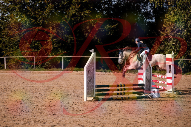 2026_10_03_Siefer-Hof_154533_Z81_64250491 | Professionelle Reitsport-, Turnier- und Eventfotografie von Robert Broda. Galerien mit ausgewählten und bearbeiteten Bildern direkt online ansehen und bestellen.
