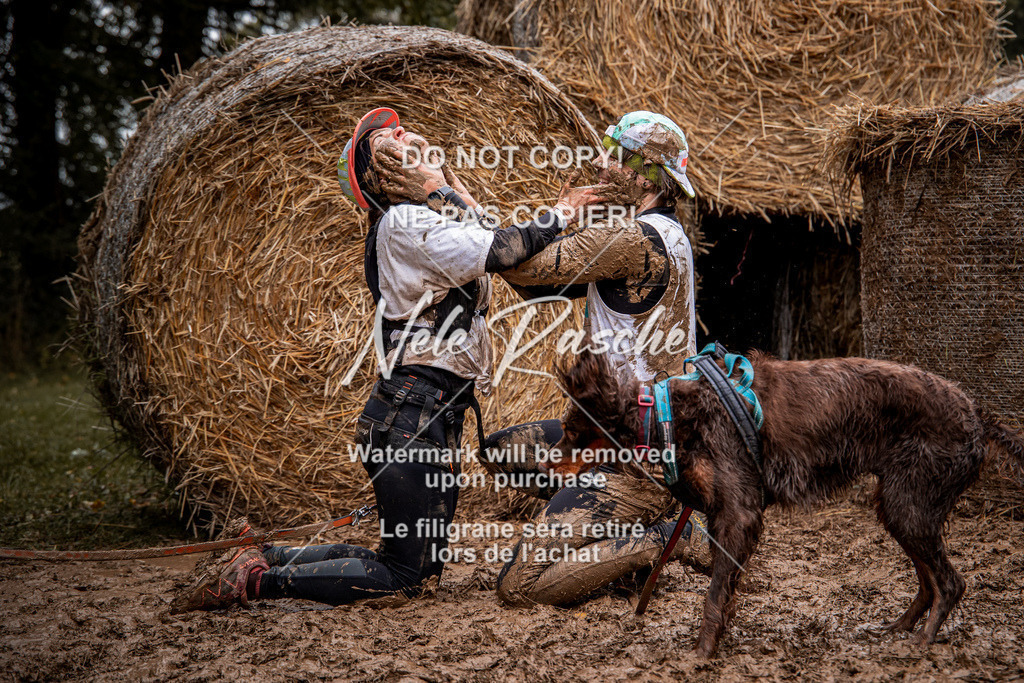 nelerasche_Hunsrück_So09-11_68 | nelerasche