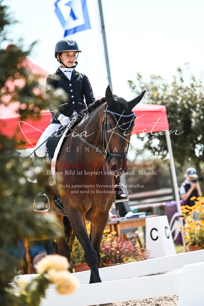 DSC_5761 | Pferde- und Turnierfotografie in Westsachsen. Pferdeportraits, Auftragszeichnungen und intuitive Kunst.