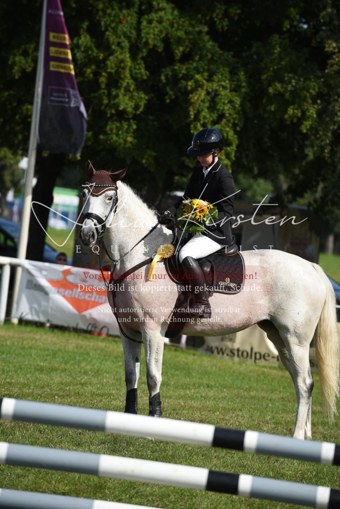 DSC_8962 | Pferde- und Turnierfotografie in Westsachsen. Pferdeportraits, Auftragszeichnungen und intuitive Kunst.