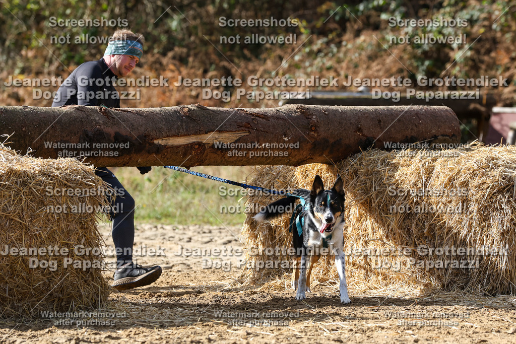 Dog Paparazzi - Strongdog 10-25-5450 | Dog Paparazzi Jeanette Grottendiek Fotografie & Videografie