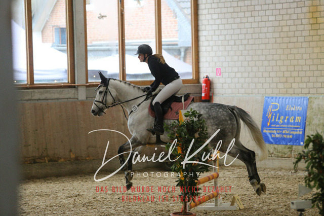 IMG_0574 | Turnierfotos kaufen im Webshop von Daniel Kuhl Photography – entdecke professionelle Reitsportfotos aus Turnieren & Events. Hochwertige Turnierbilder online bestellen & sichern. Jetzt Fotos von Reitsportturnieren kaufen!