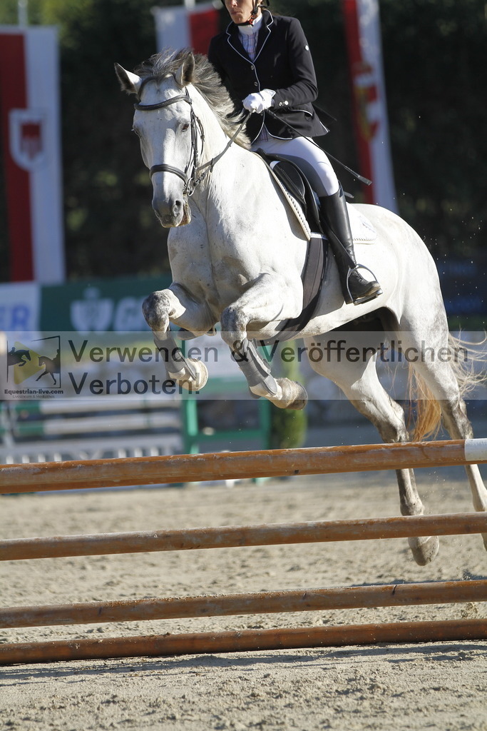_MG_1173 | equestrian-live-com