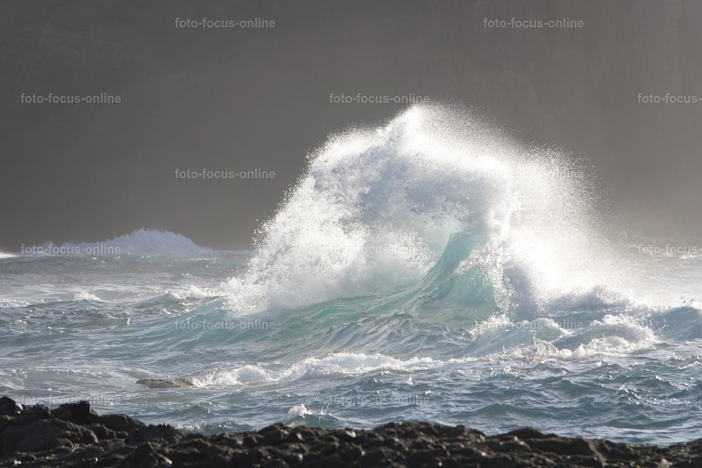 waves | Elemental power of the waves