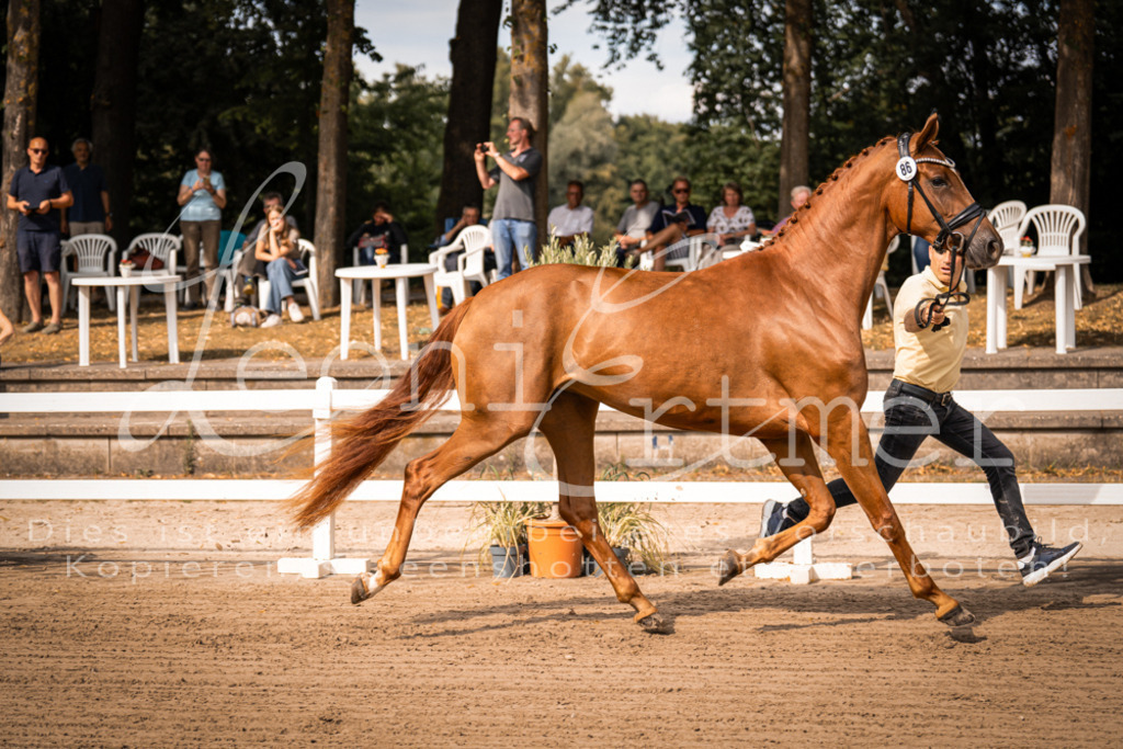 FrER00028 | Leoni Ertmer Photography - Realisiert mit Pictrs.com