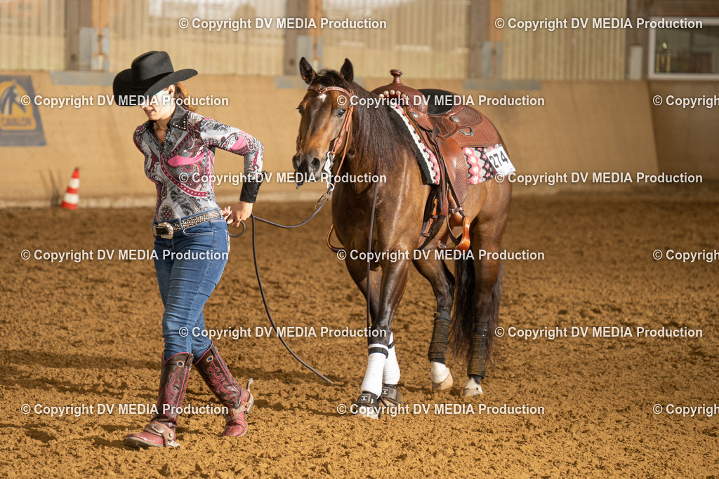 LAU00722 | dv-media-shop - Realisiert mit Pictrs.com