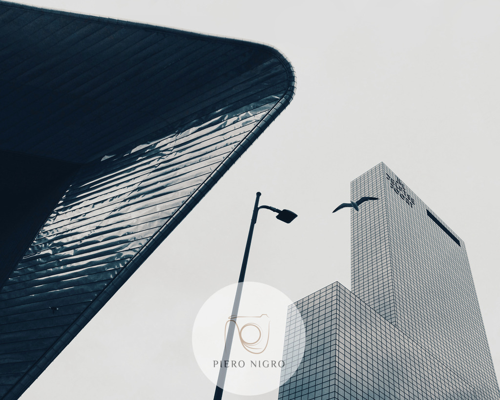 20230509-S0071366_Final_pictrs | Galleria Dei Moment - Fotografie D' Arte | Wallart | Fotokunst - Realisiert mit Pictrs.com