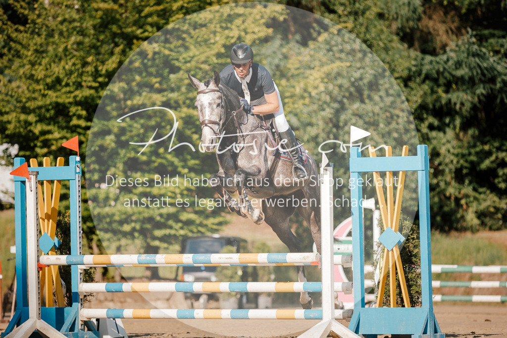 3I6A6313 | Stimmungsvolle Portraits und Reitsportfotografie im Ruhrgebiet und im Münsterland.

Pferdefotografie, Hundefotografie, Tierfotografie, Reportagen, Portraits von Tier und Mensch, Turnierfotografie in Bochum, Recklinghausen, Marl, Haltern am See, Dülmen.. - Realisiert mit Pictrs.com