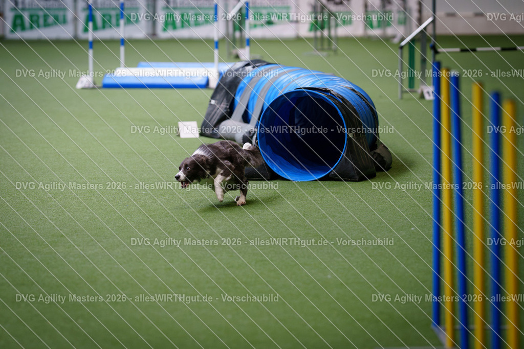 allesWIRTHgut_Tierfotografie-DVG_Agility_Masters_2026-10_35-7R500754 | Professionelle Tierfotografie in Mönchengladbach von Daniel Wirth (allesWIRTHgut). Liebevolle & natürliche Bilder von Hunden & Katzen für unvergessliche Erinnerungen.