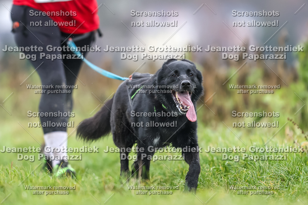 Dog Paparazzi - Herkules Race  2025-83 | Dog Paparazzi Jeanette Grottendiek Fotografie & Videografie