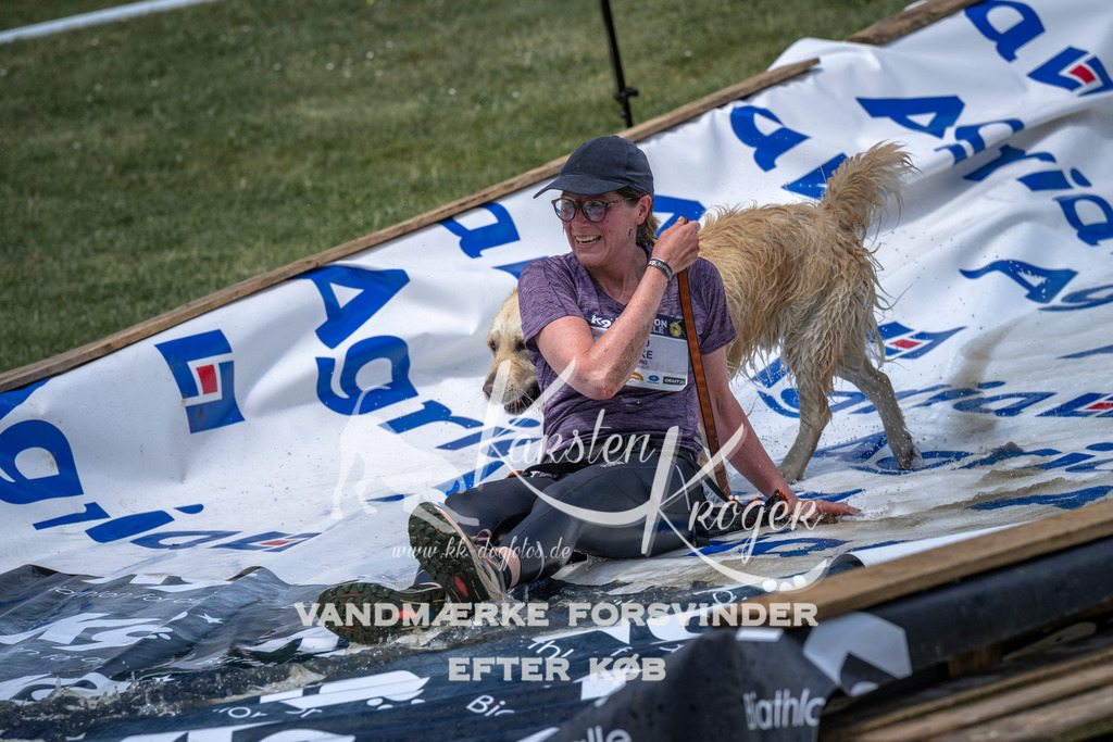 1118_ZZ91815 | kk-dogfotos