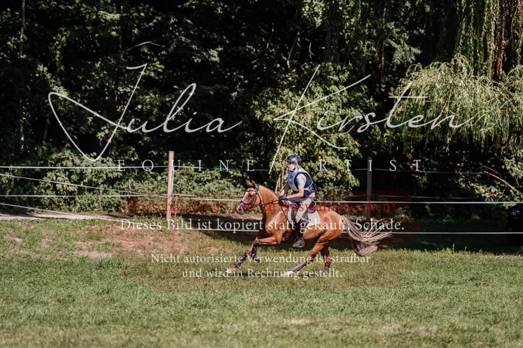 DSC_2074 | Pferde- und Turnierfotografie in Westsachsen. Pferdeportraits, Auftragszeichnungen und intuitive Kunst.