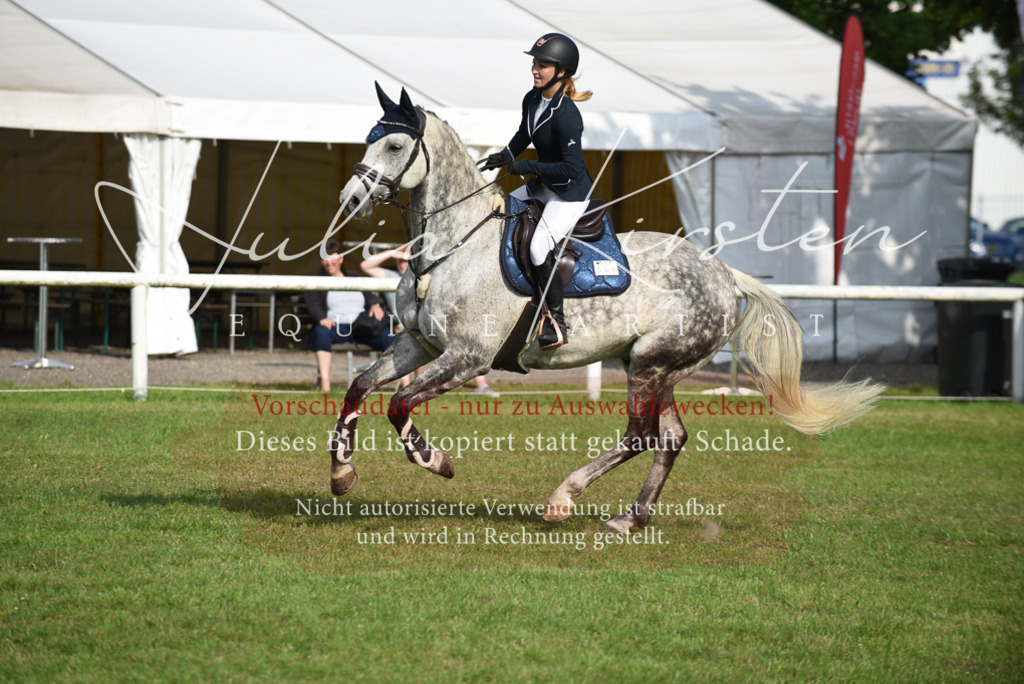 DSC_8764 | Pferde- und Turnierfotografie in Westsachsen. Pferdeportraits, Auftragszeichnungen und intuitive Kunst.