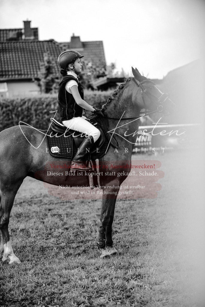 DSC_5218 | Pferde- und Turnierfotografie in Westsachsen. Pferdeportraits, Auftragszeichnungen und intuitive Kunst.