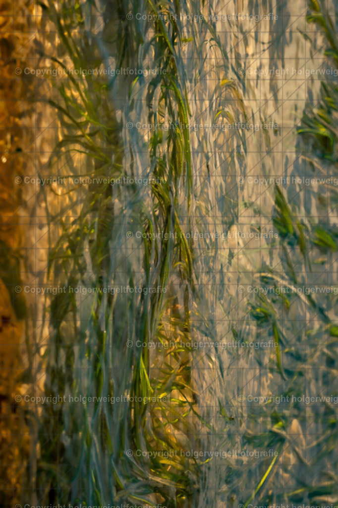 Unterwasser IV | Kaufen sie online außergewöhnliche Fotografien auf Leinwand Acrylglas Fotoprint Aludibond von holgerweigeltfotografie - Realisiert mit Pictrs.com