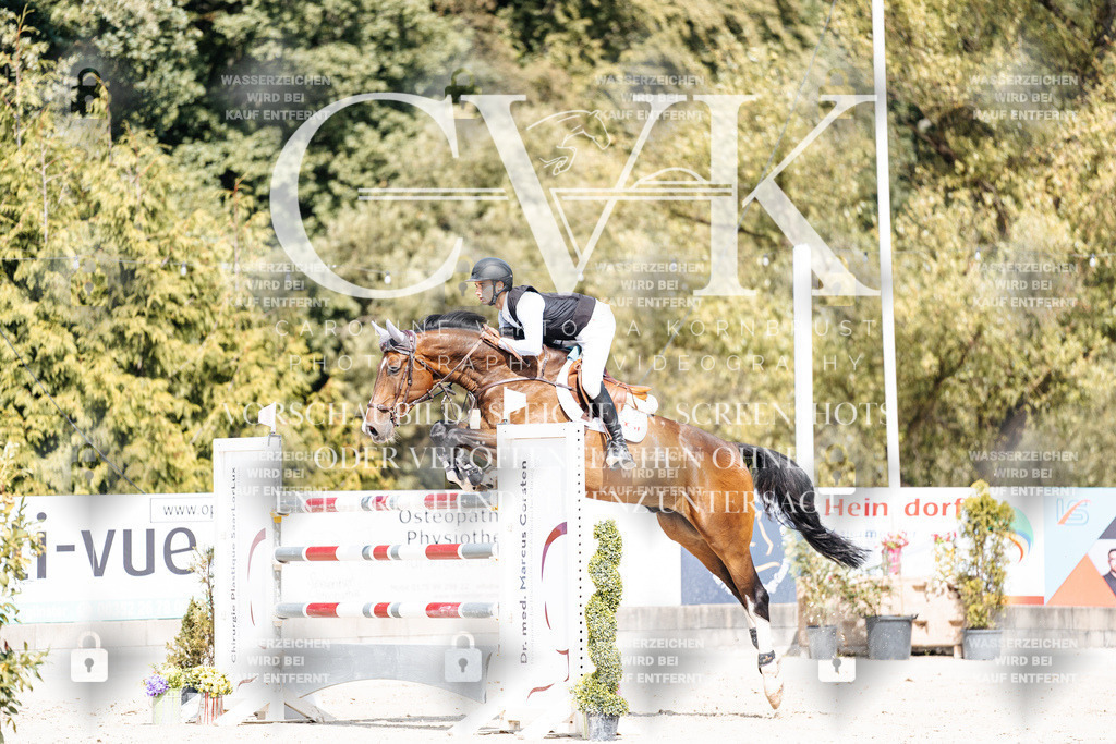 CK905121 | Turnierfotografie Pferdefotografie Trier Rheinland-Pfalz Pferdesport Reitsport Tierfotografie Sportfotografie Pferdevideo Pferdevideografie Equestrianvideography equestrianphotography  - Realisiert mit Pictrs.com