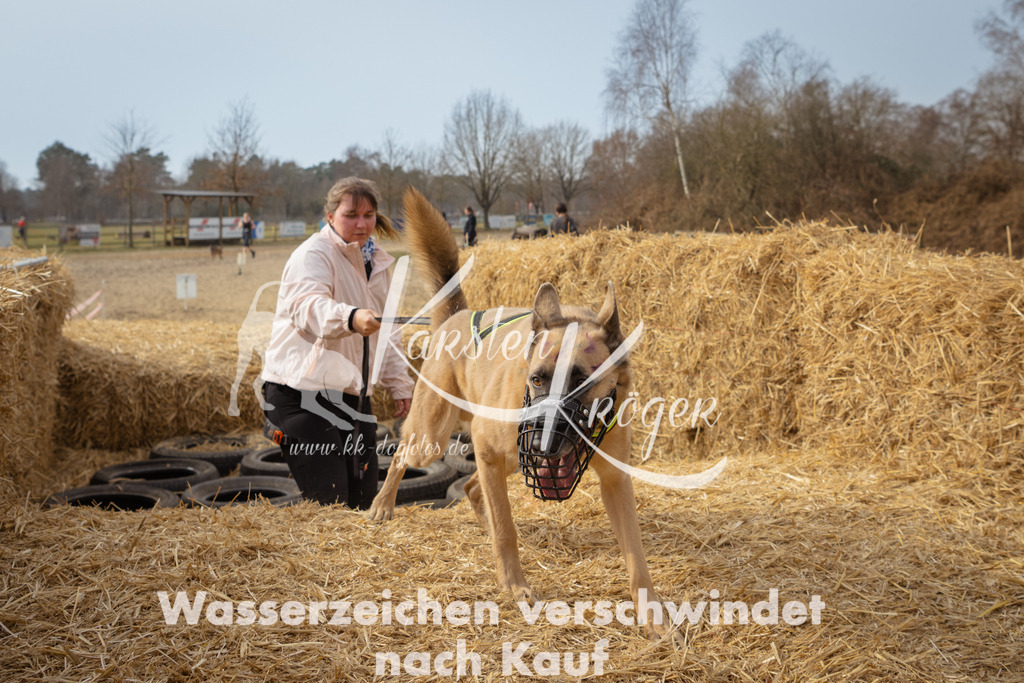 1121_ZZ92951 | kk-dogfotos