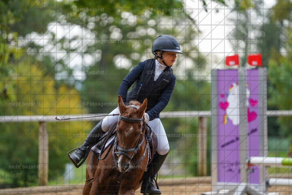 20231008-SN_01149 | Professionelle Turnier- und Reitsportfotografie - mit dem Finger am Auslöser. Pferdebilder aus dem Reitsport von den Turnierfotografen  Bayern , Pferdefotograf Bayern, Pferdeshooting Turnierbilder, Hochzeitsfotograf, Eventfotograf, Hochzeitsbilder