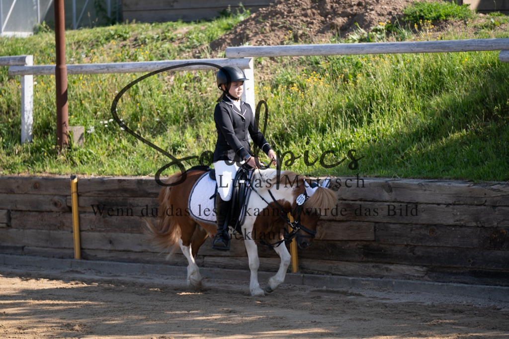 A7V07553 | Pferdefotograf