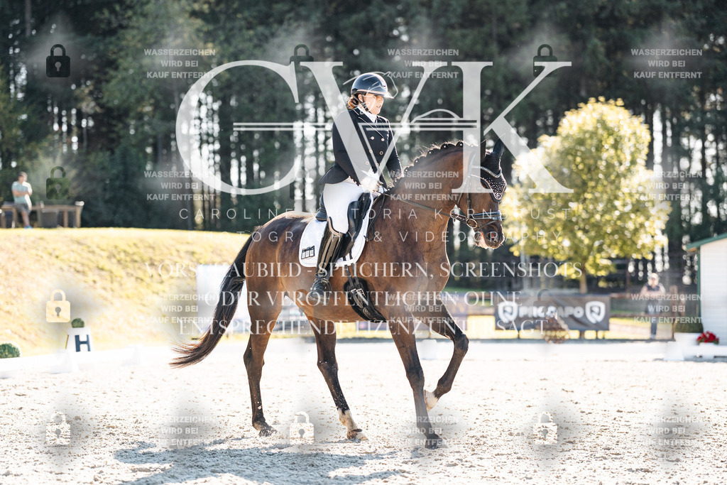 CK906163 | Turnierfotografie Pferdefotografie Trier Rheinland-Pfalz Pferdesport Reitsport Tierfotografie Sportfotografie Pferdevideo Pferdevideografie Equestrianvideography equestrianphotography  - Realisiert mit Pictrs.com