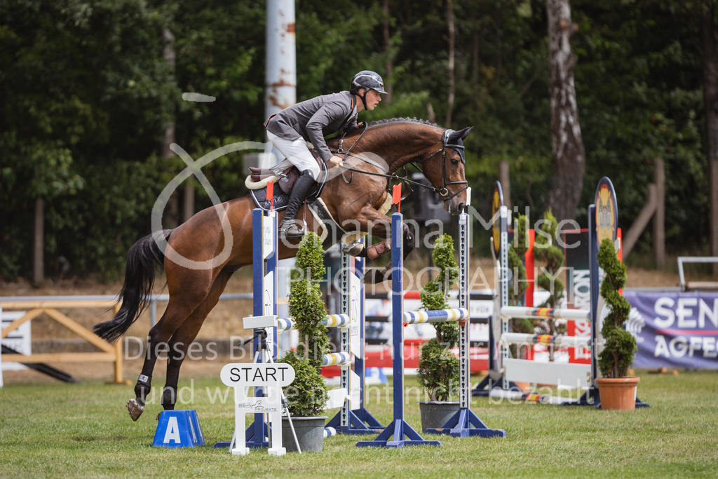 220715_LC_SprPfL1-231 | Deine schönsten Turniermomente als professionelle Fotos! Entdecke hochwertige Pferdesport-Fotografie im Online-Shop. Jetzt Fotos finden & bestellen!