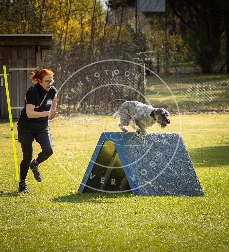 Pfotenfotografie_DV3A3293 | Hundefotografie, Tierfotograf, Pfotenfotografie, Fotoshooting Hund, Hunde Portrait, Hundesport, Hundeportraits, Heideshooting, Hunde, Sportfotograf, Hundefotograf, Turnierhundsport, THS,  - Realisiert mit Pictrs.com