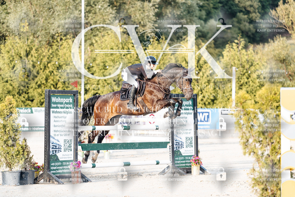 CK900934 | Turnierfotografie Pferdefotografie Trier Rheinland-Pfalz Pferdesport Reitsport Tierfotografie Sportfotografie Pferdevideo Pferdevideografie Equestrianvideography equestrianphotography  - Realisiert mit Pictrs.com