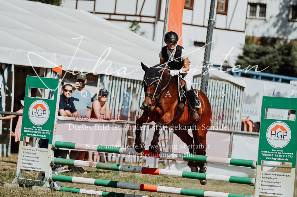 DSC_9685 | Pferde- und Turnierfotografie in Westsachsen. Pferdeportraits, Auftragszeichnungen und intuitive Kunst.