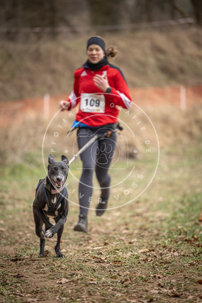 Pfotenfotografie_DV3A7523 | Hundefotografie, Tierfotograf, Pfotenfotografie, Fotoshooting Hund, Hunde Portrait, Hundesport, Hundeportraits, Heideshooting, Hunde, Sportfotograf, Hundefotograf, Turnierhundsport, THS,  - Realisiert mit Pictrs.com