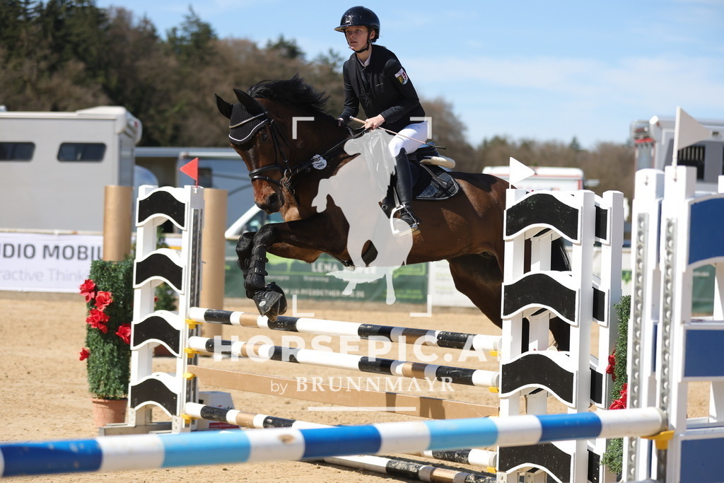 0P6A7837 | Willkommen bei Brunnmayr - Design & Fotografie – Ihrem Spezialisten für Reitturniere und Pferdeveranstaltungen in Oberösterreich, Salzburg und Bayern! Seit über 17 Jahren sind wir leidenschaftlich dabei.