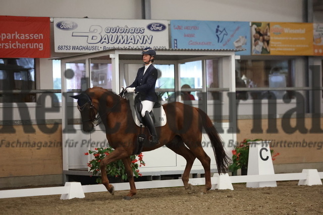Waghäusel-Wiesental_2024_Prfg.Nr.08_1.WP_U25_sabine Schmidt_Quickstepp II (10) | Alle Fotos der Reiterjournal Fotografin Doris Matthaes im Reiterjournal Online-Fotoshop. - Realisiert mit Pictrs.com